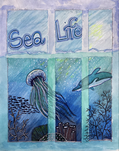 Special Presentation at January Meeting — FAN “Sea Life”
